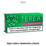 IQOS TEREA GREEN INDONESIA UAE