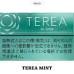 TEREA MINT FOR IQOS ILUMA DUBAI